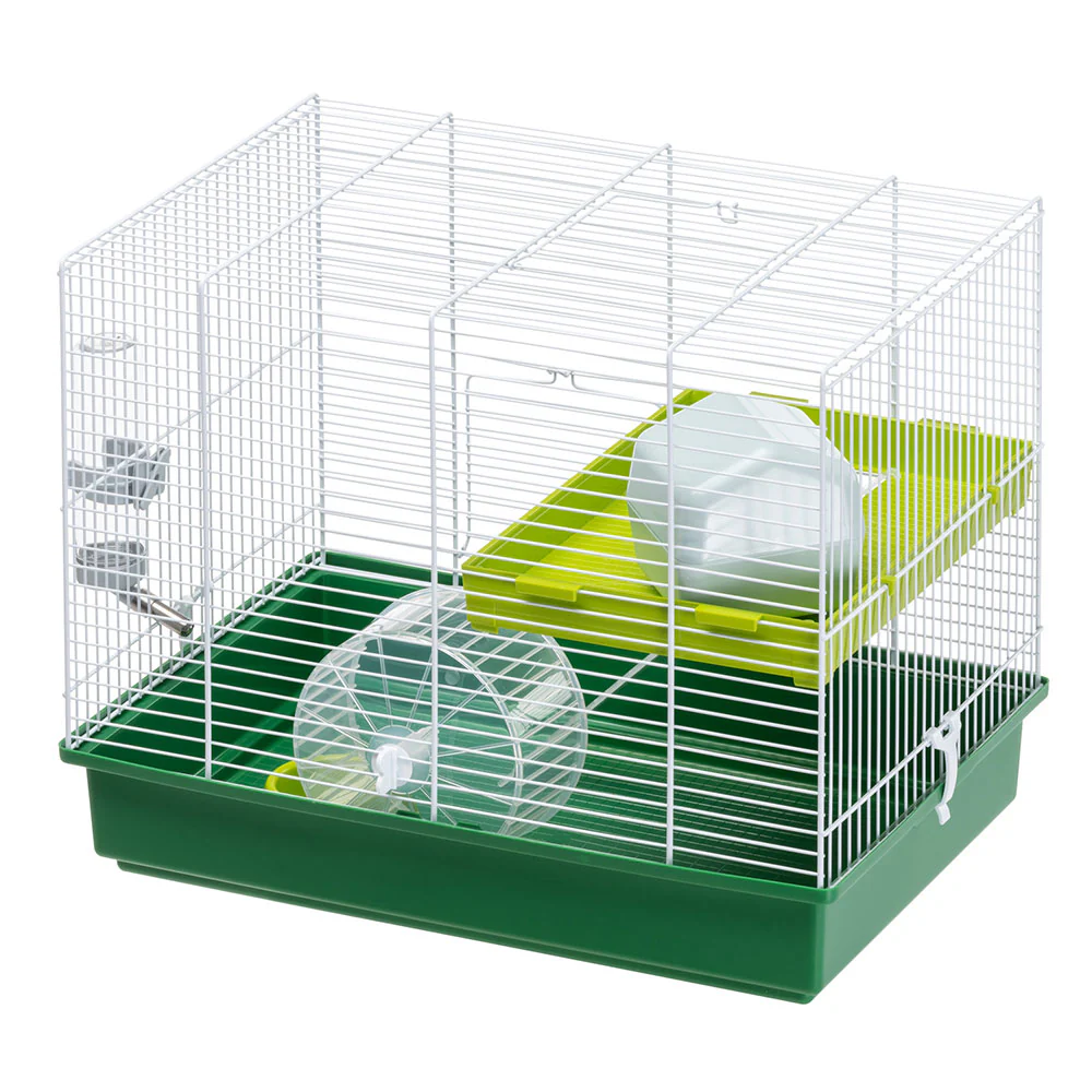 HAMSTER DUO - Image 3