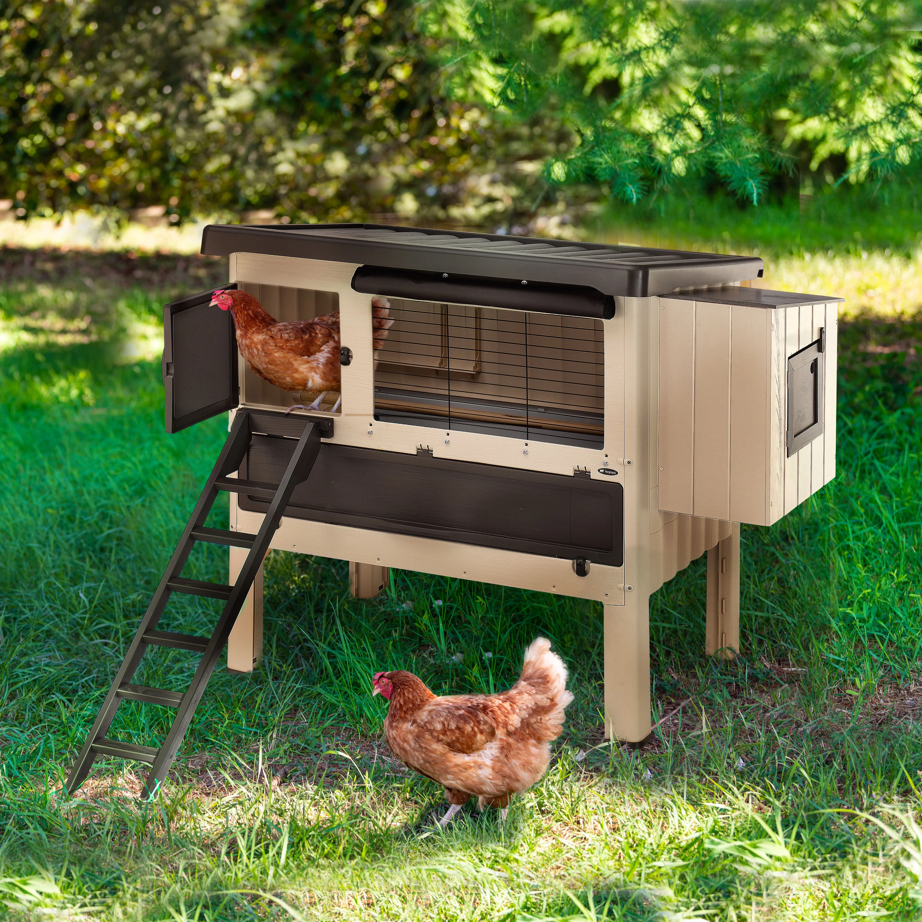 HAPPY FARM 120 - Image 3