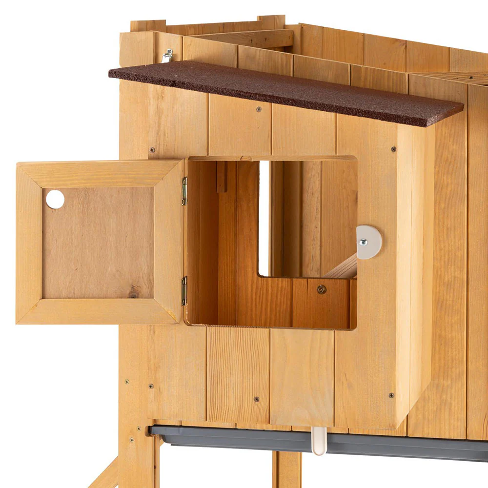 HEN HOUSE 10 - Image 12