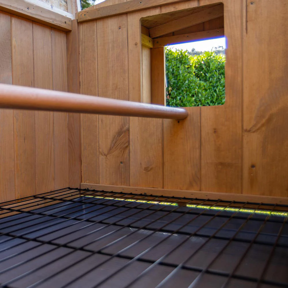 HEN HOUSE 10 - Image 6