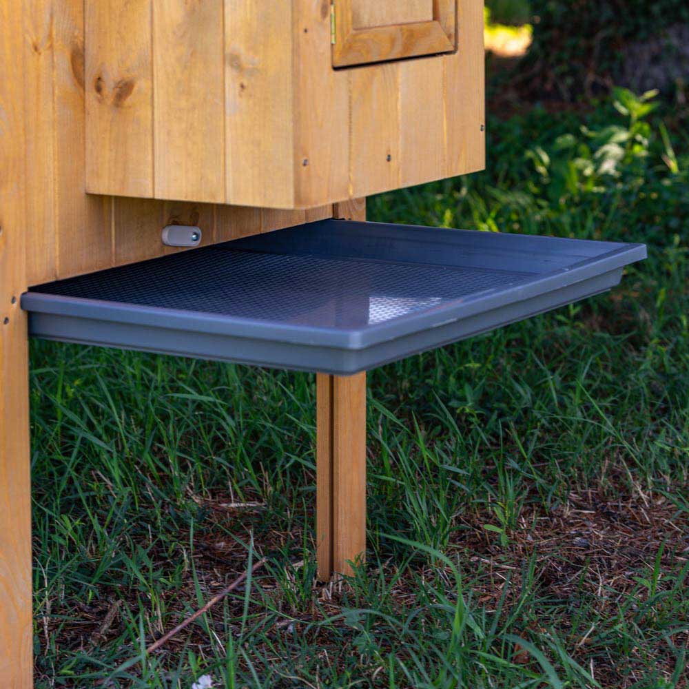 HEN HOUSE 10 - Image 9