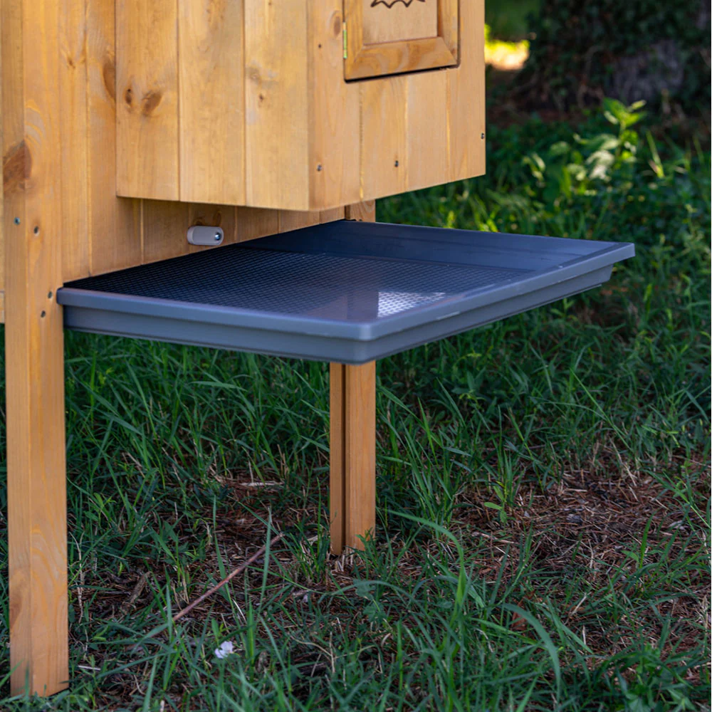 HEN HOUSE 30 - Image 11