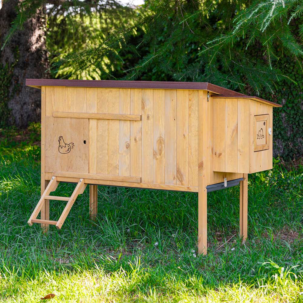 HEN HOUSE 30 - Image 5