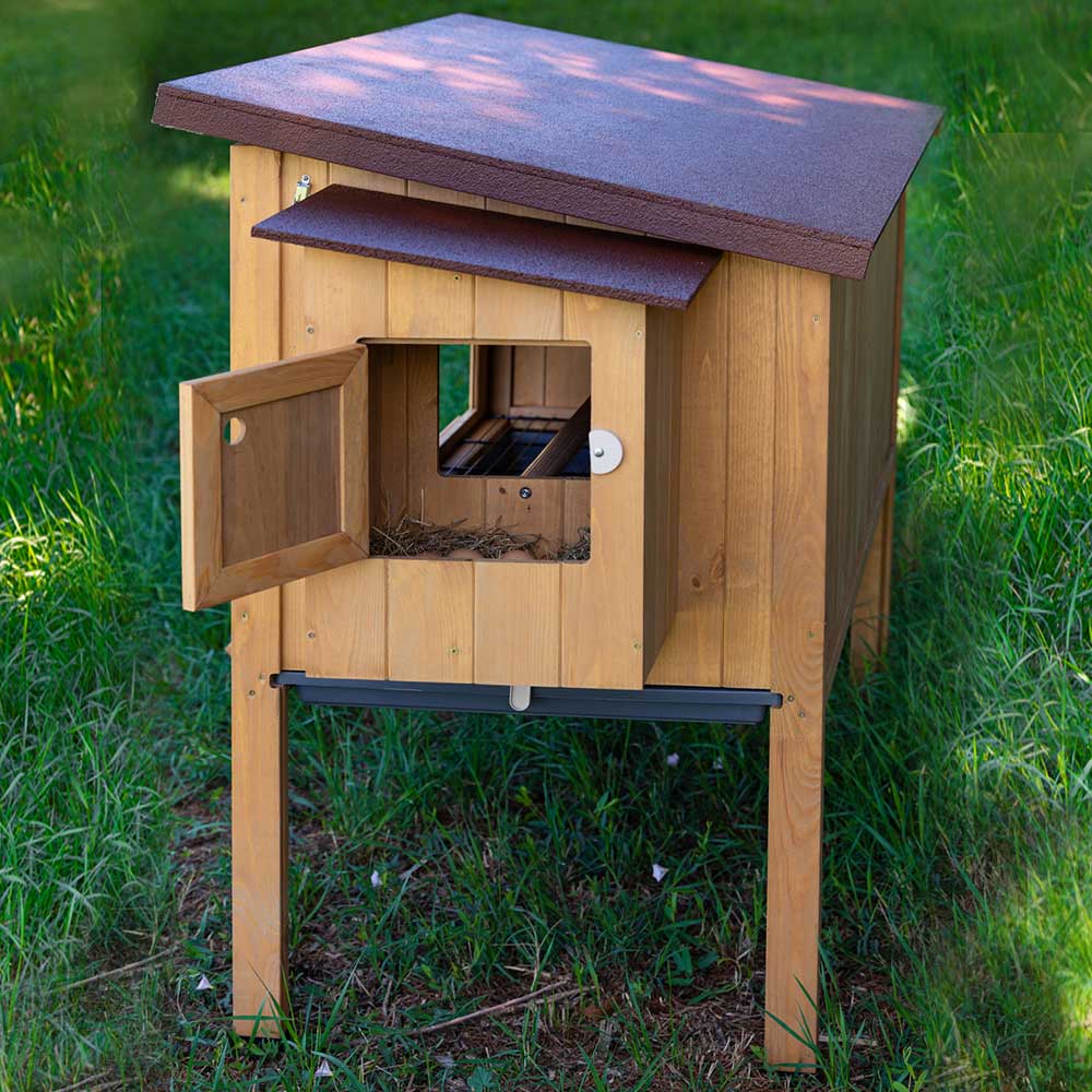 HEN HOUSE 30 - Image 8