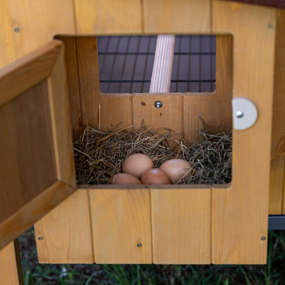 HEN HOUSE 30 - Image 9