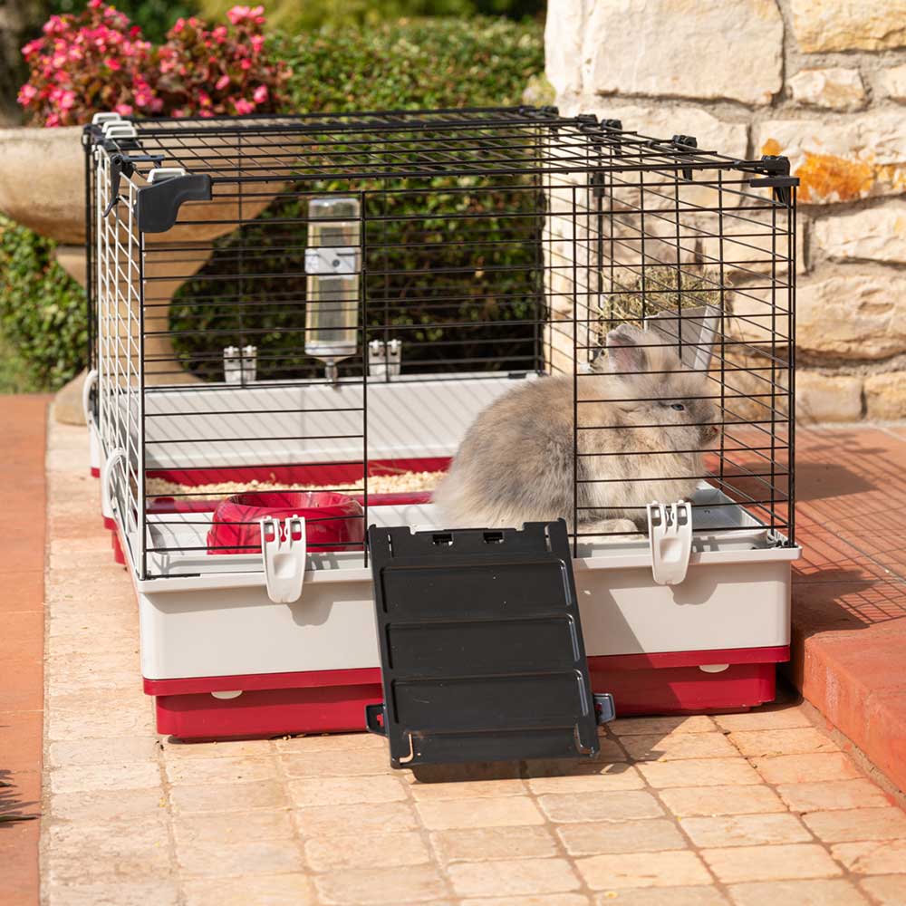 KROLIK 140 - Image 4