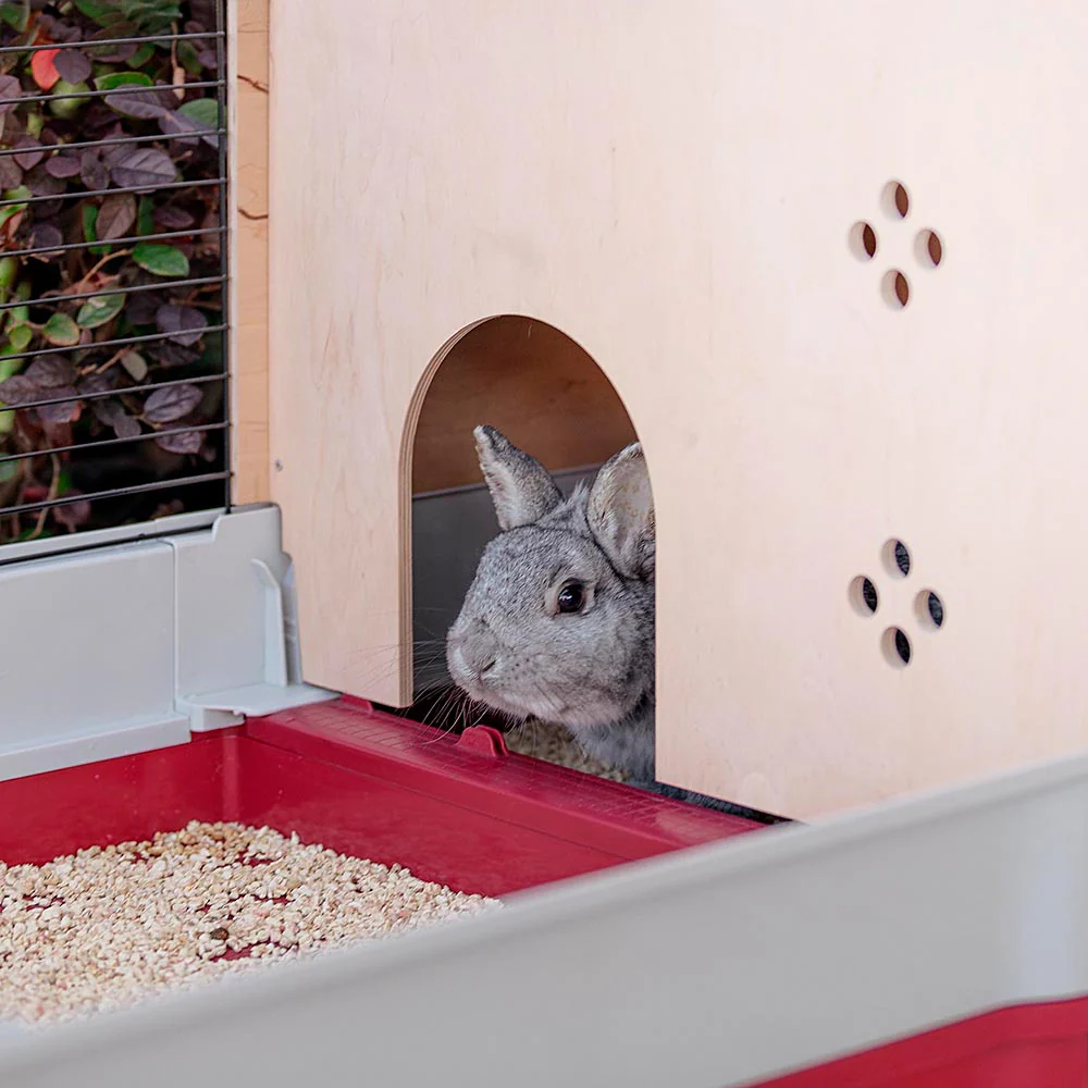 KROLIK 140 PLUS - Image 6