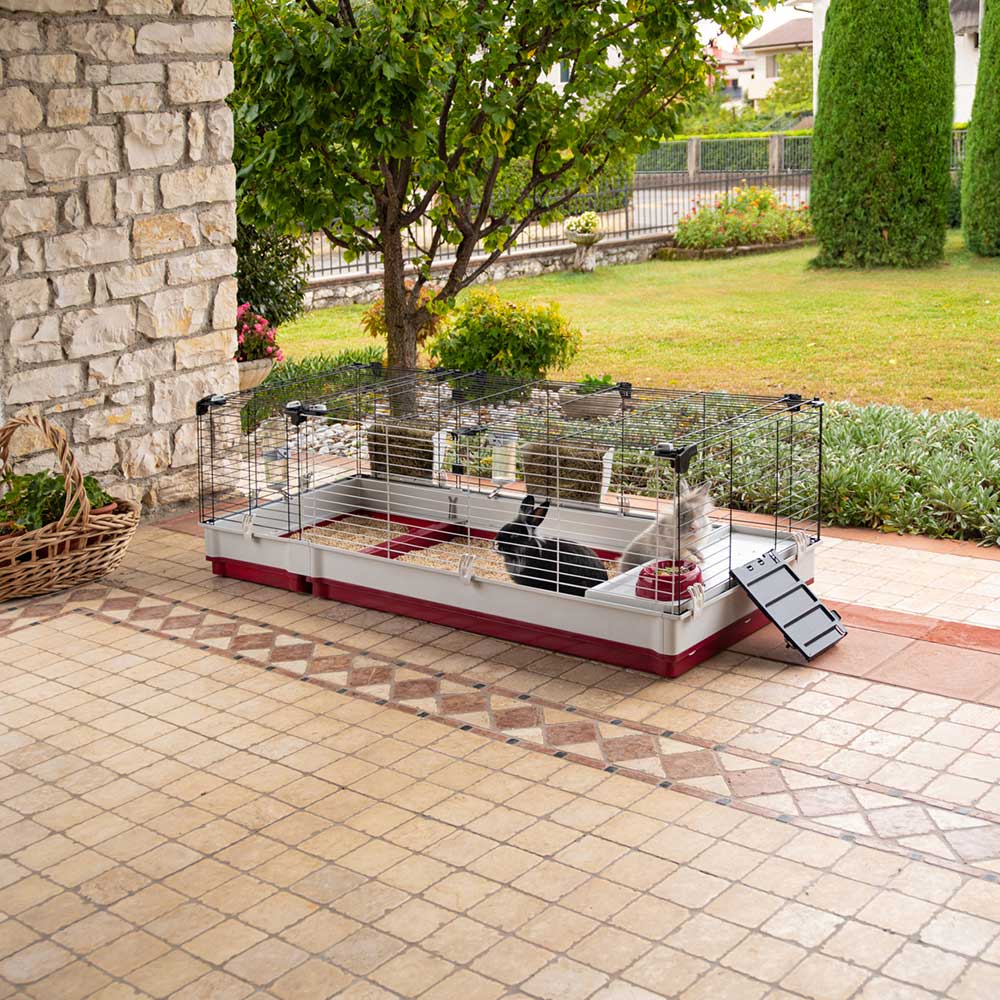 KROLIK 160 - Image 3