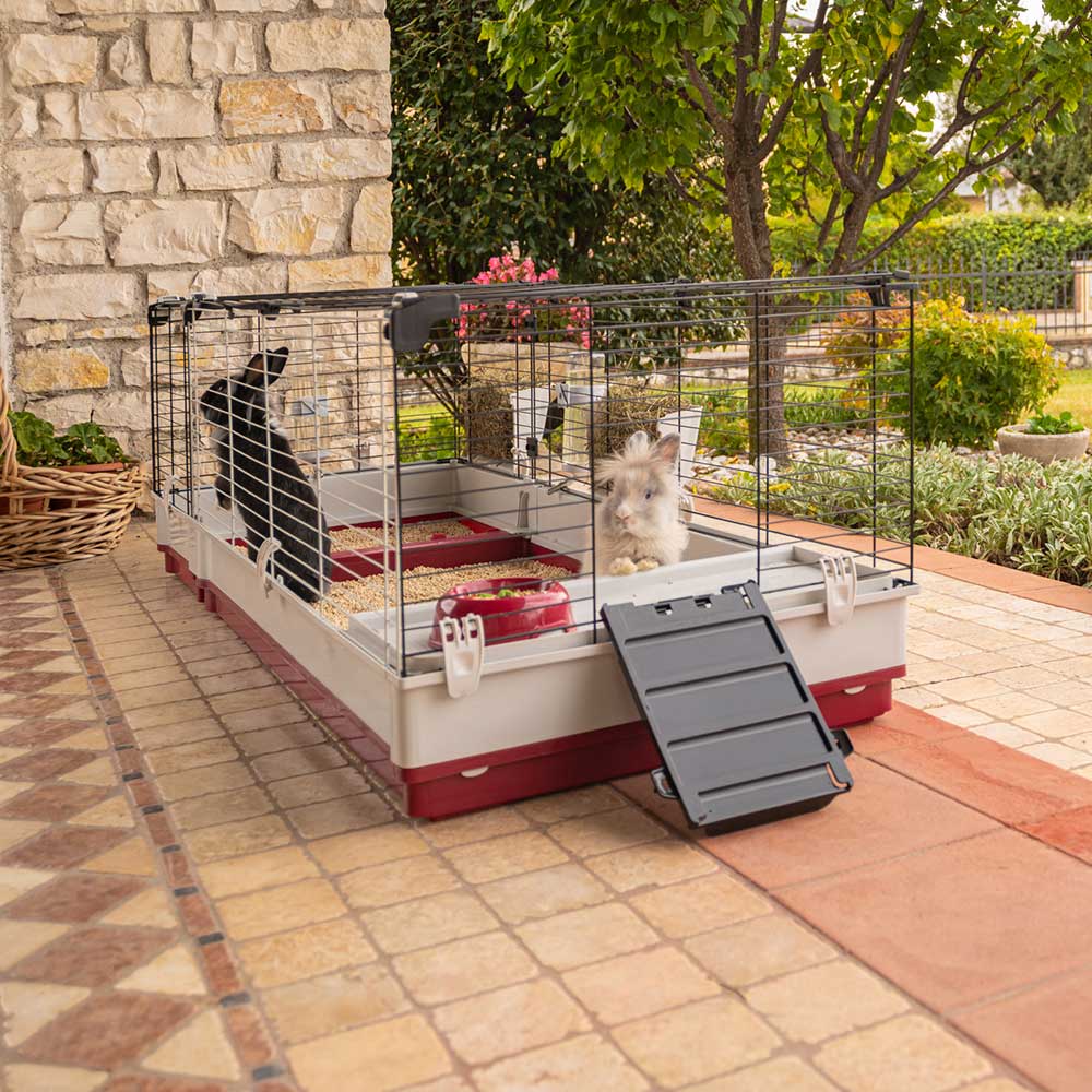 KROLIK 160 - Image 4