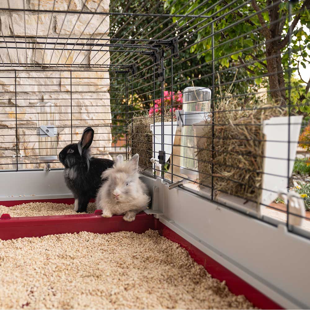 KROLIK 160 - Image 5