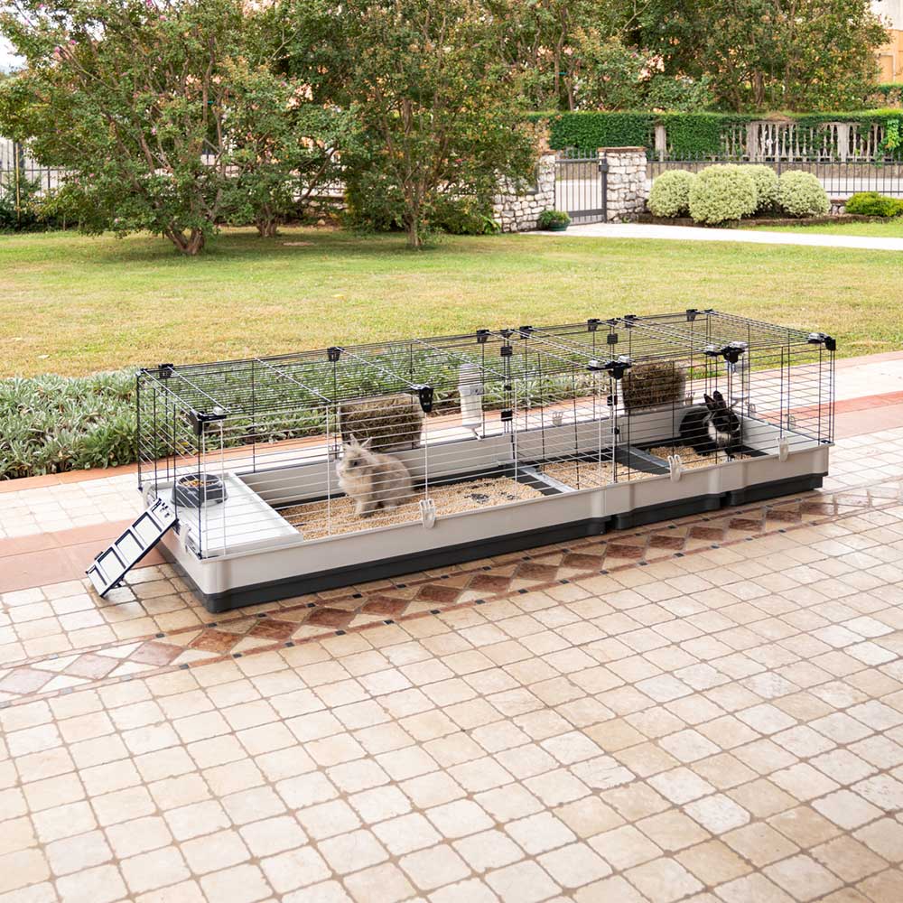 KROLIK 200 - Image 3