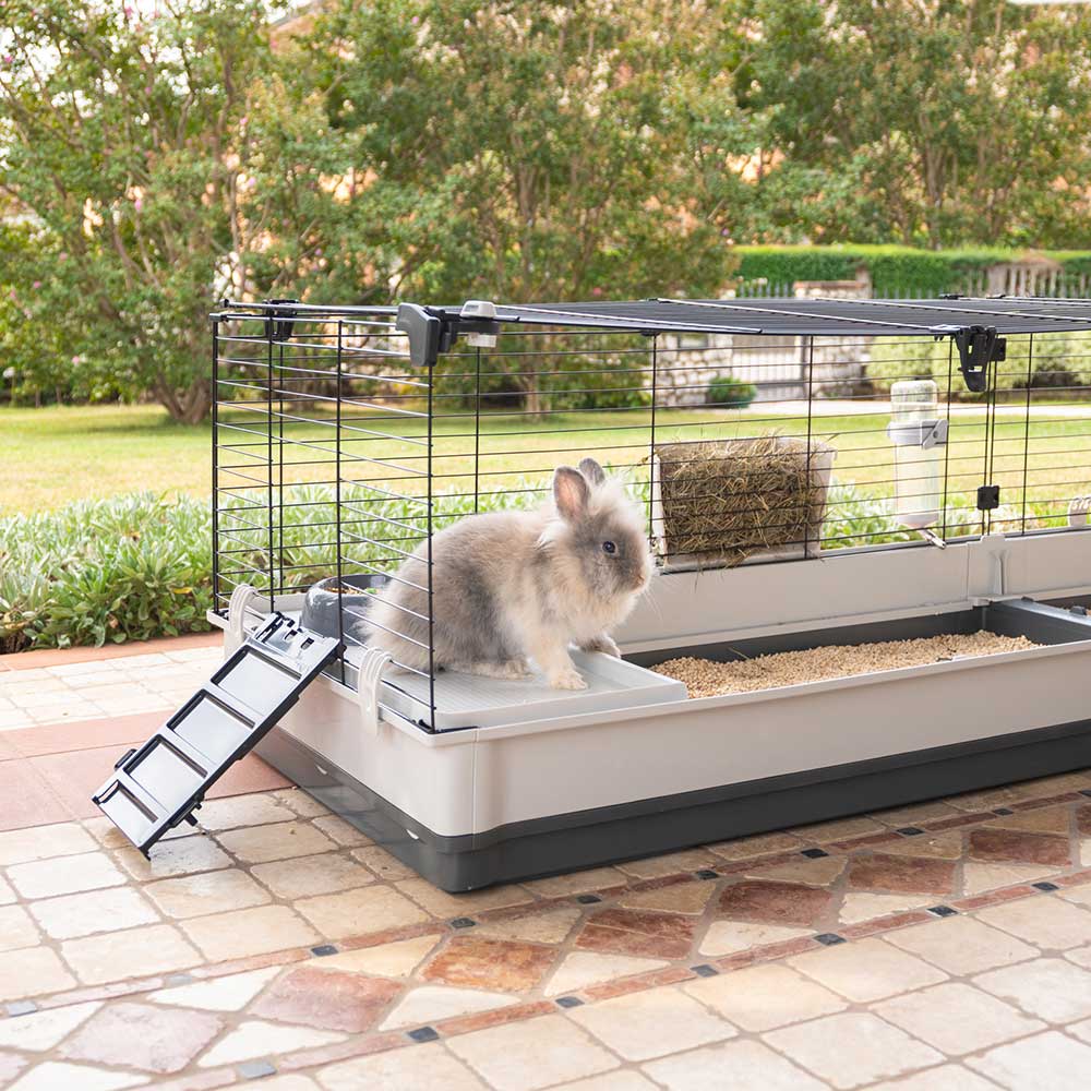 KROLIK 200 - Image 4