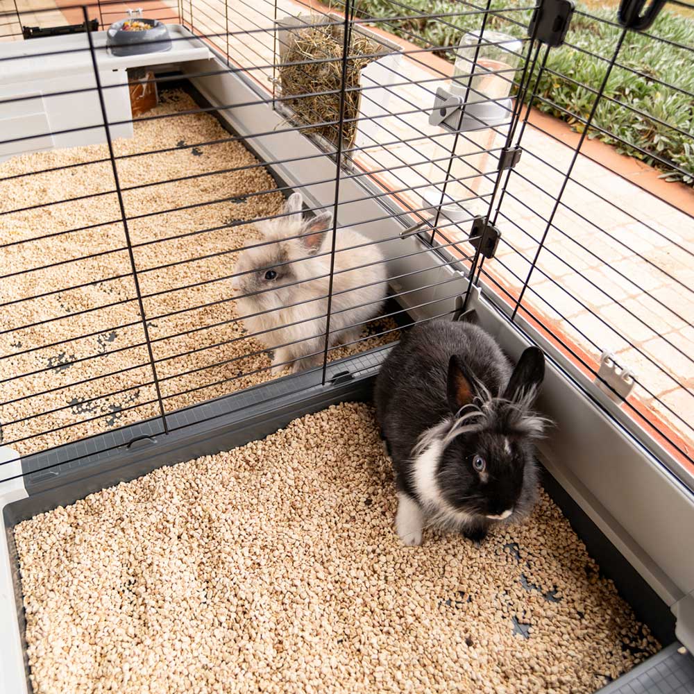 KROLIK 200 - Image 7