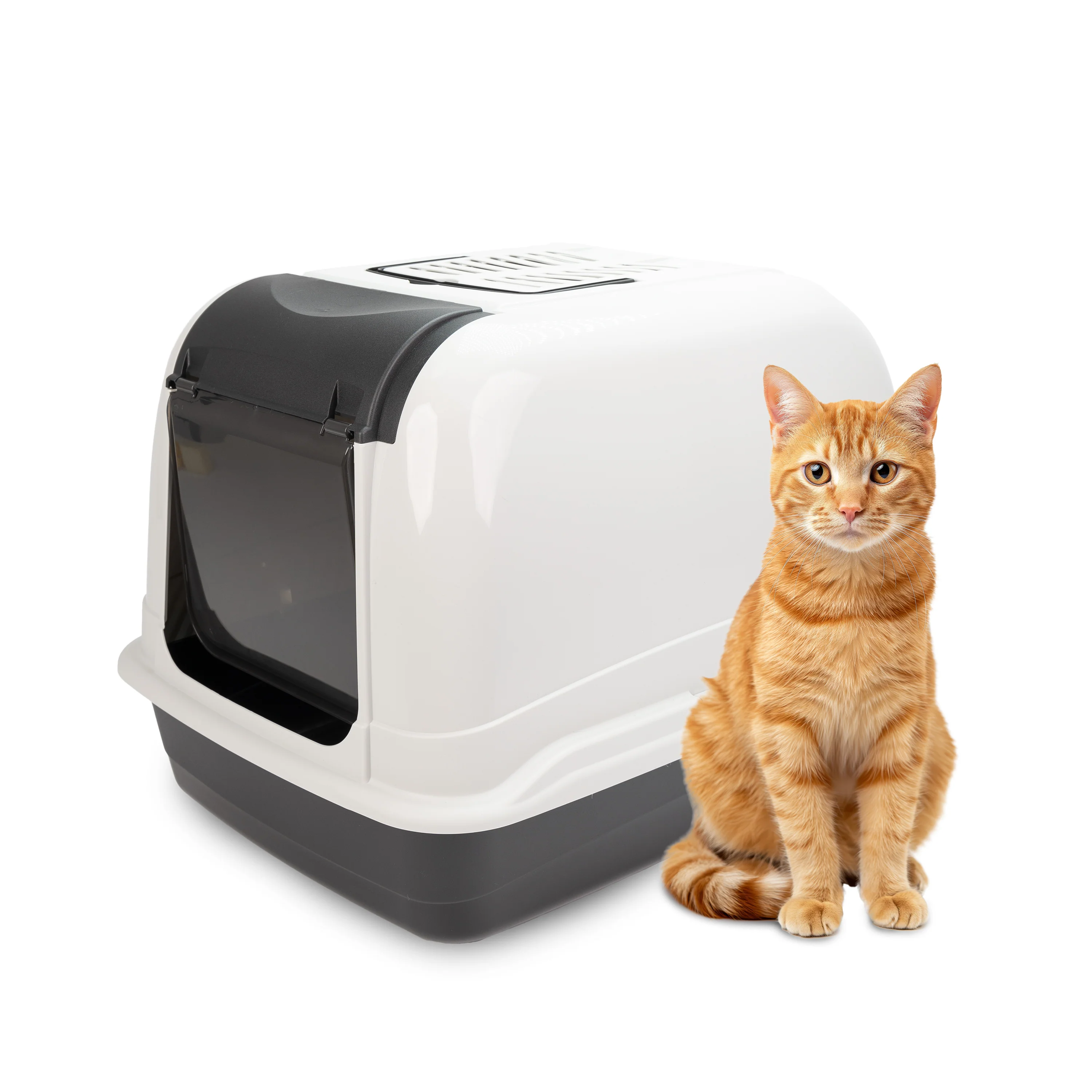 MAXI BELLA CABRIO - Image 13