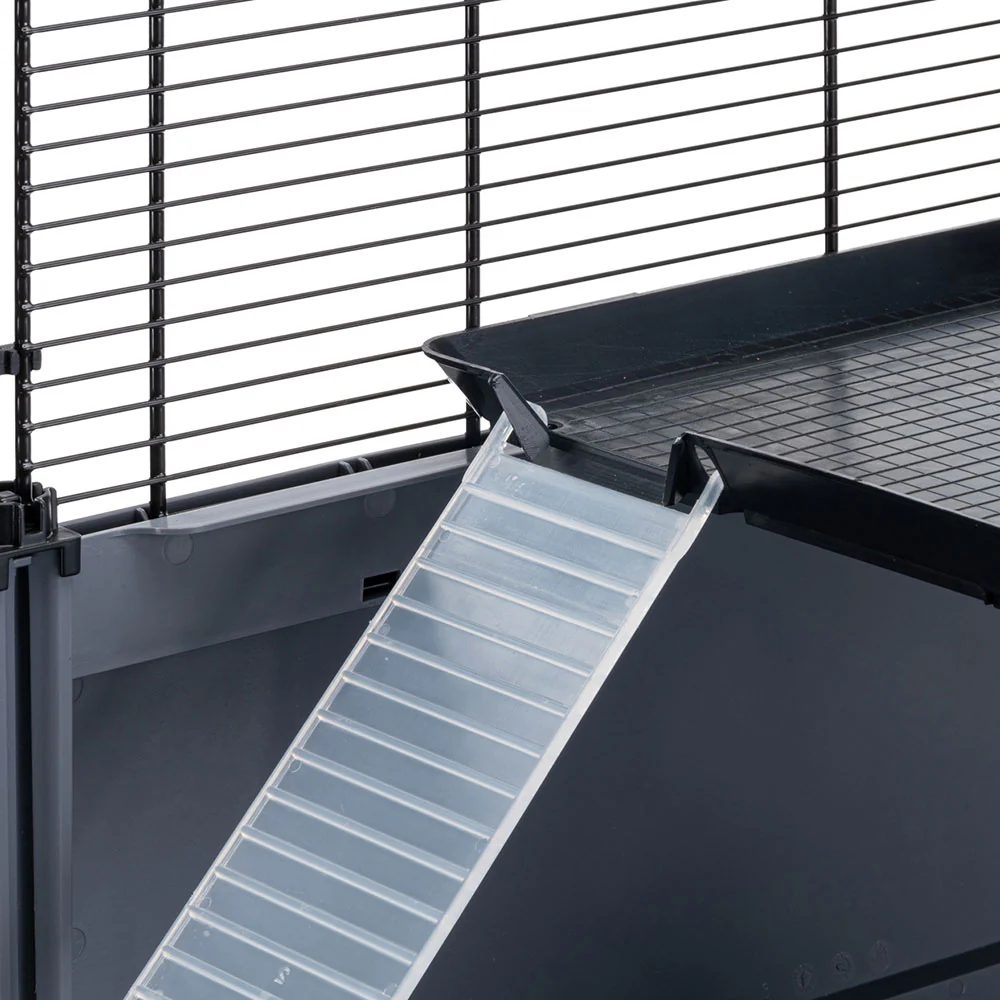 MULTIPLA HAMSTER - Image 12