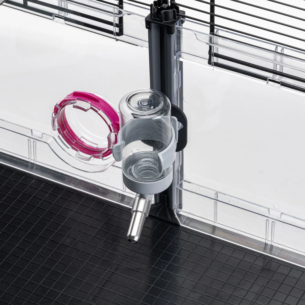 MULTIPLA HAMSTER - Image 9