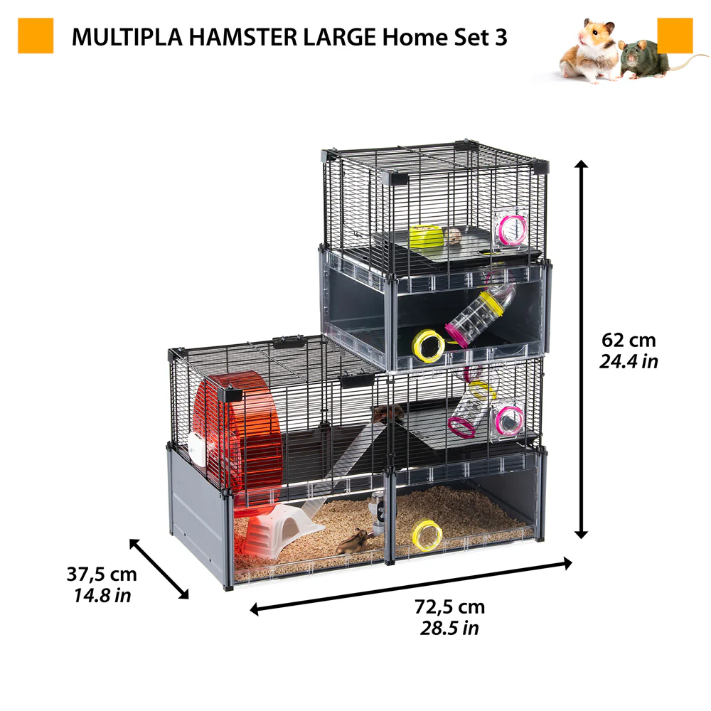 MULTIPLA HAMSTER LARGE - Image 4