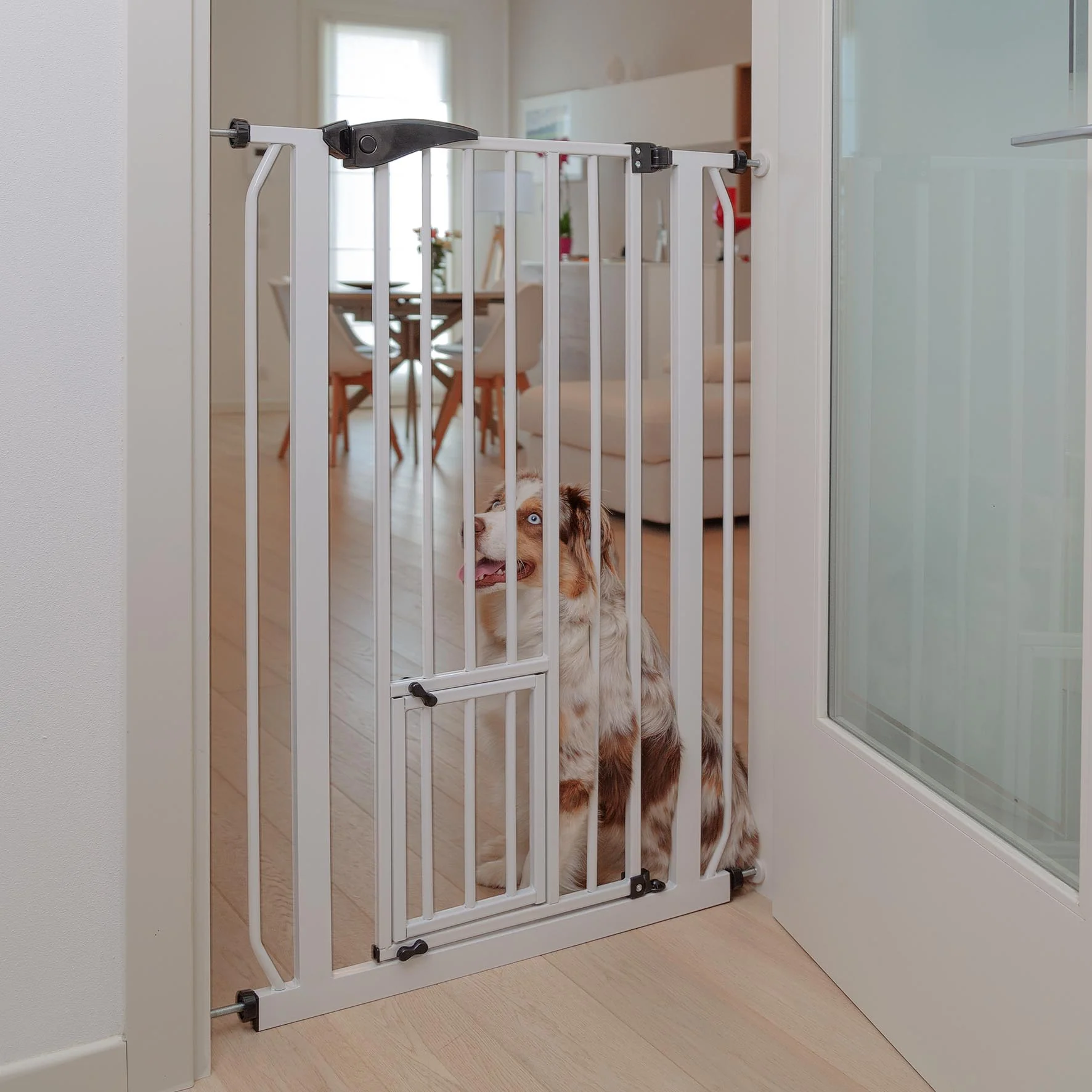PET GATE - Image 3