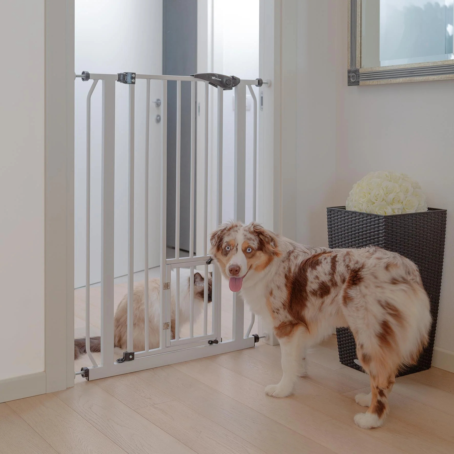 PET GATE - Image 4