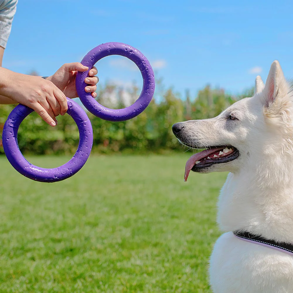 PULLER MIDI - Image 5