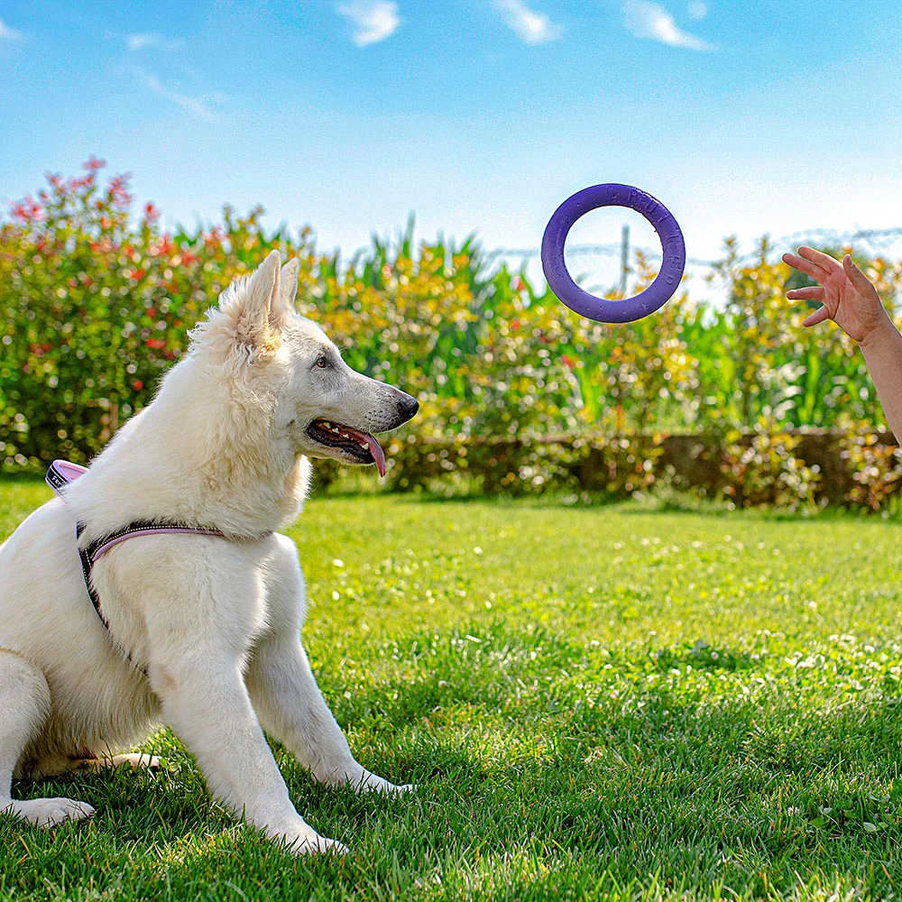 PULLER MIDI - Image 6