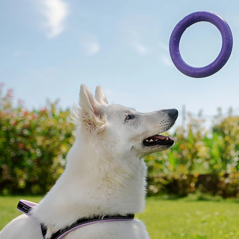 PULLER MIDI - Image 7