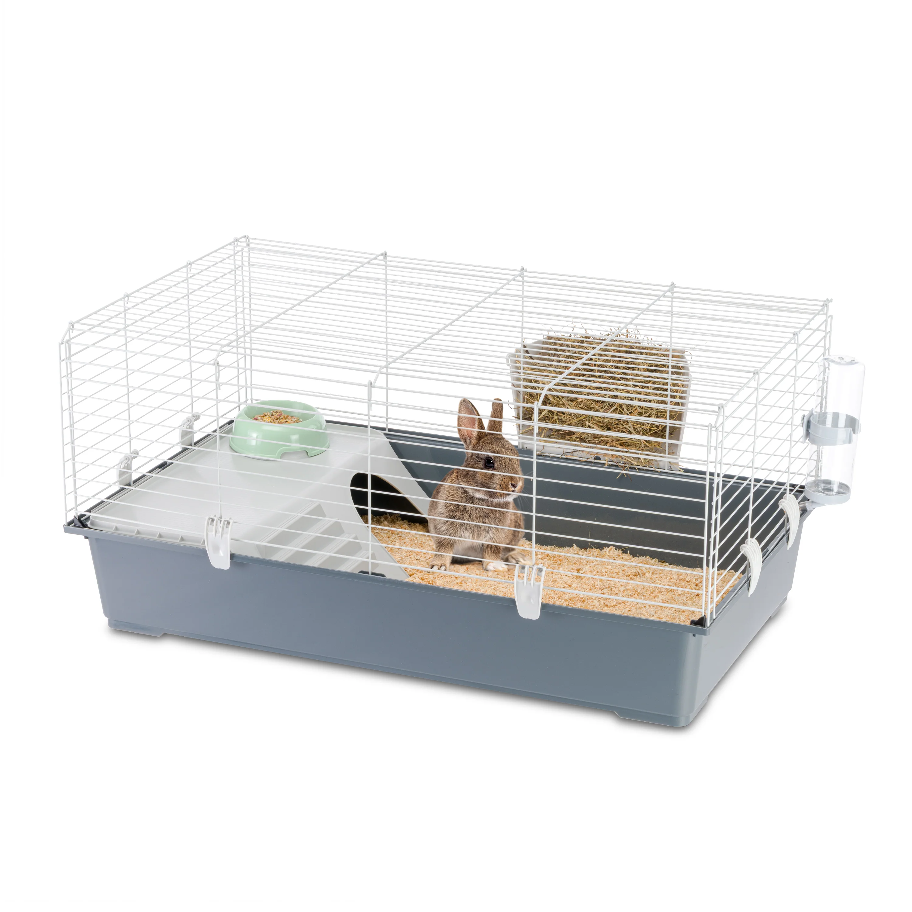 RABBIT 100 - Image 4