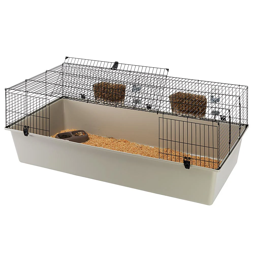 RABBIT 160 - Image 4