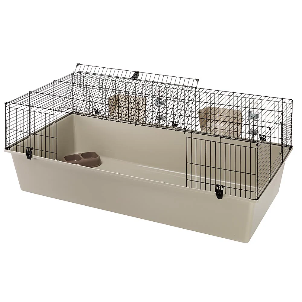 RABBIT 160 - Image 5