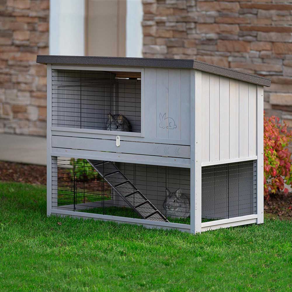 RANCH 120 BASIC - Image 3