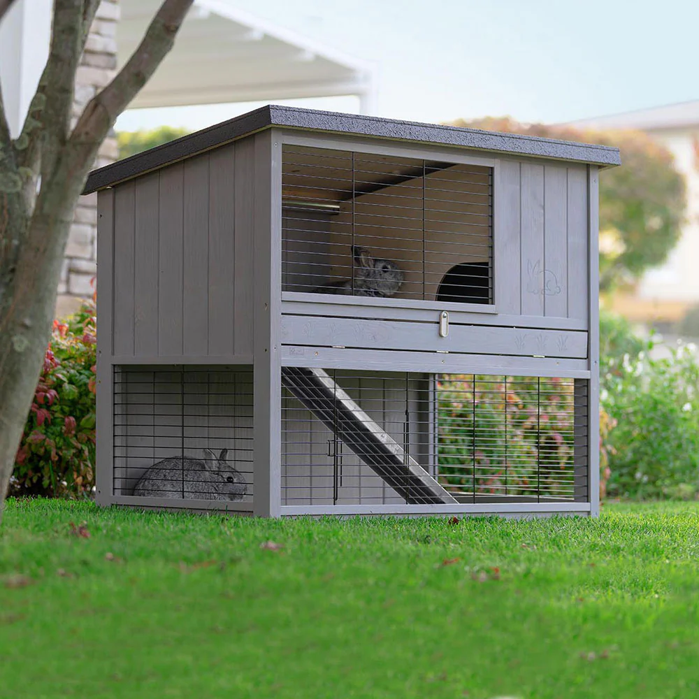 RANCH 120 BASIC - Image 4