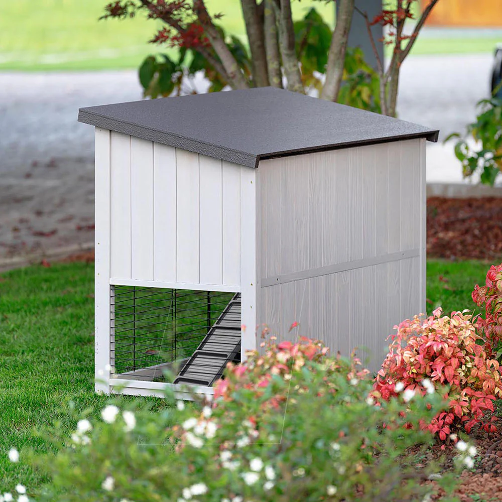 RANCH 120 BASIC - Image 5