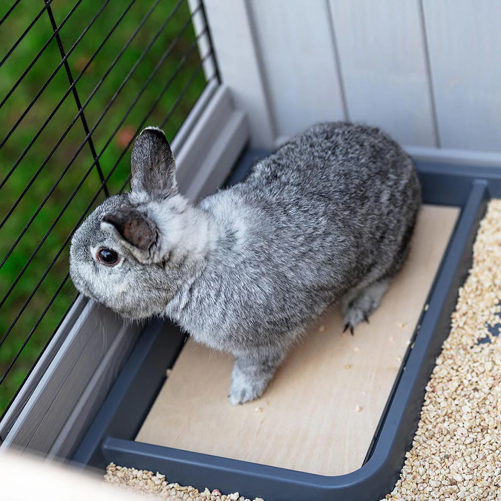 RANCH 120 BASIC - Image 7