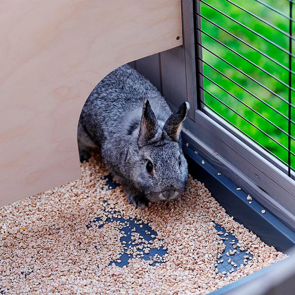 RANCH 120 BASIC - Image 8