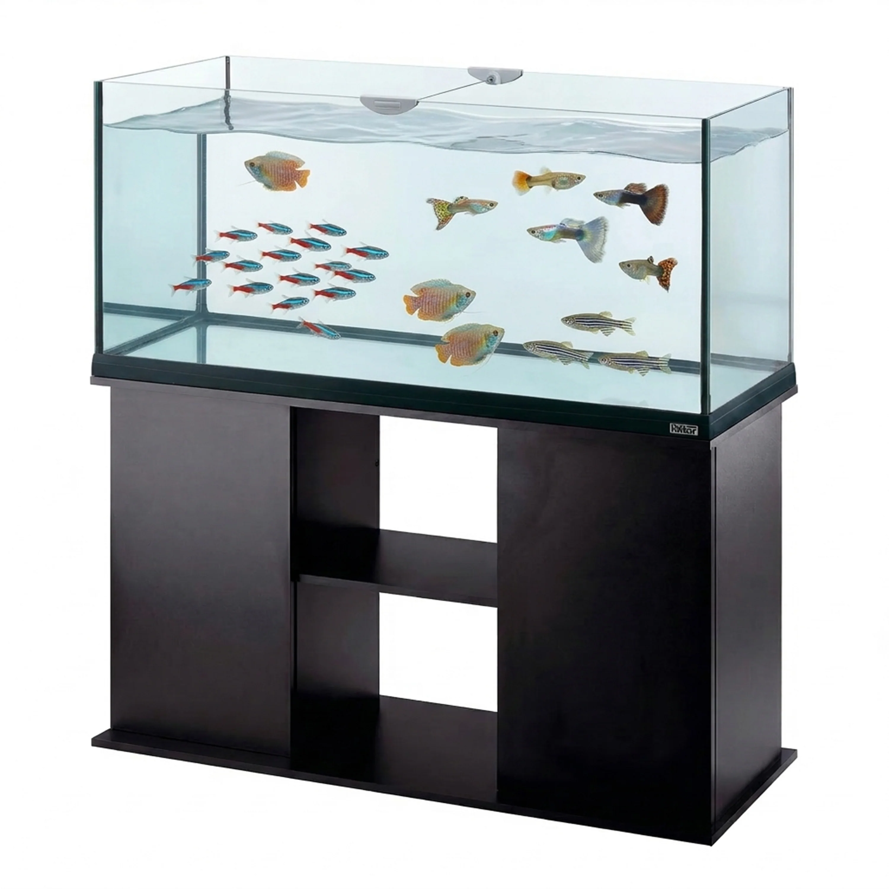 STAND CAYMAN 110 - Image 4