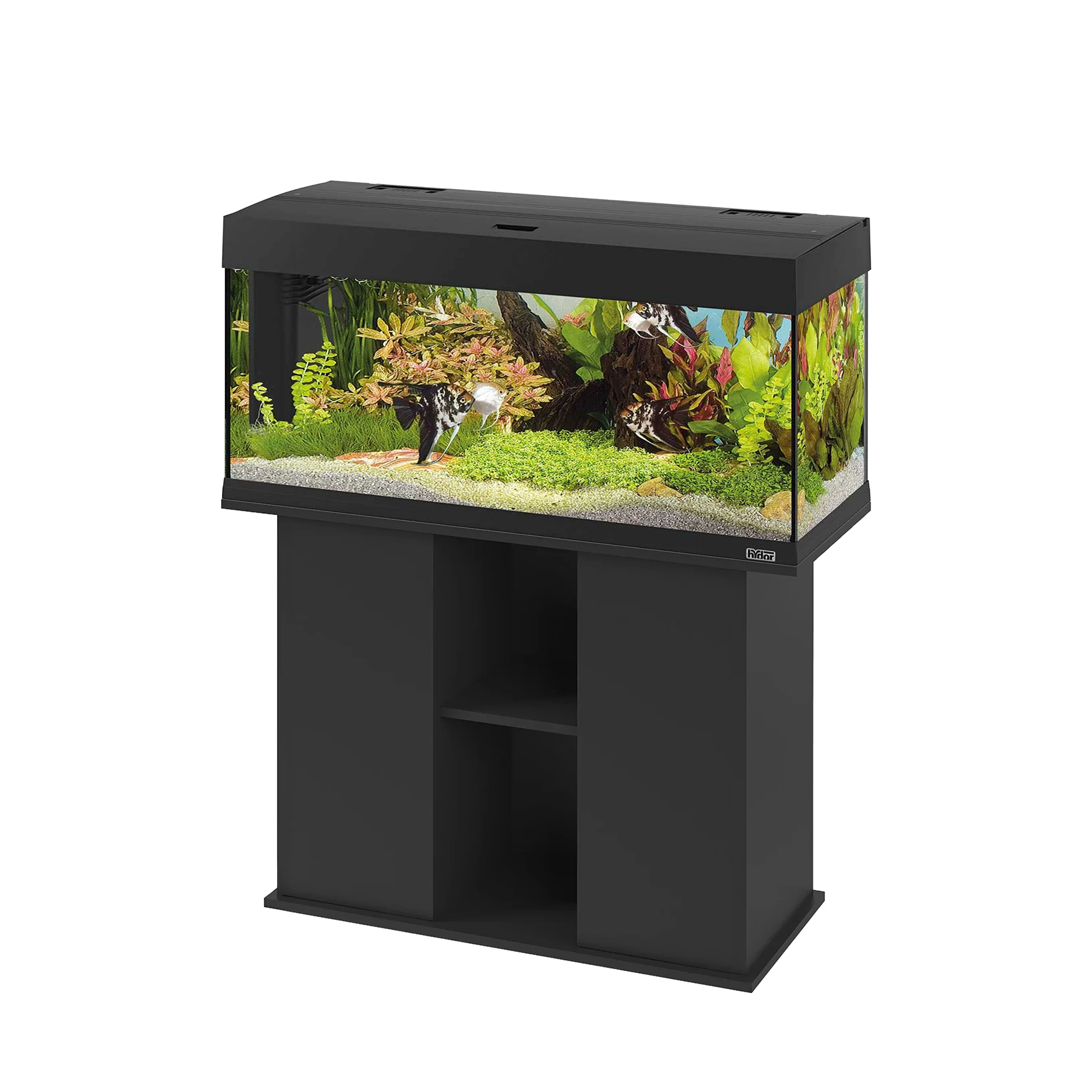 STAND DUBAI 100 - Image 4