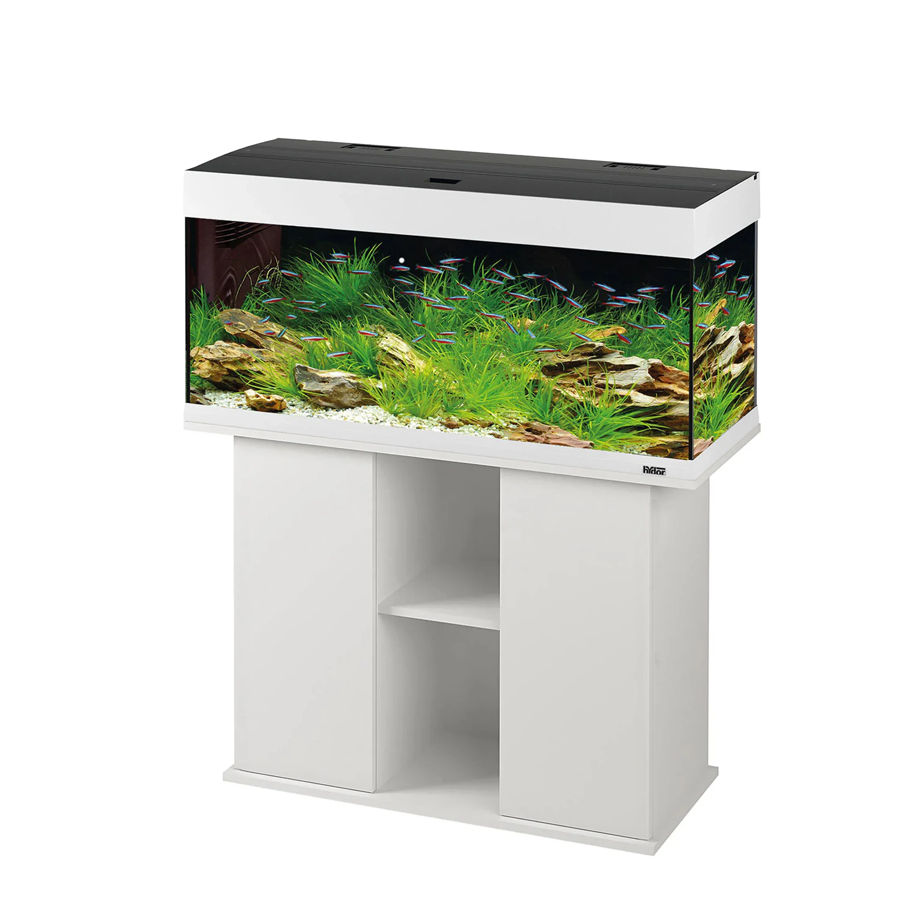 STAND DUBAI 120 - Image 4