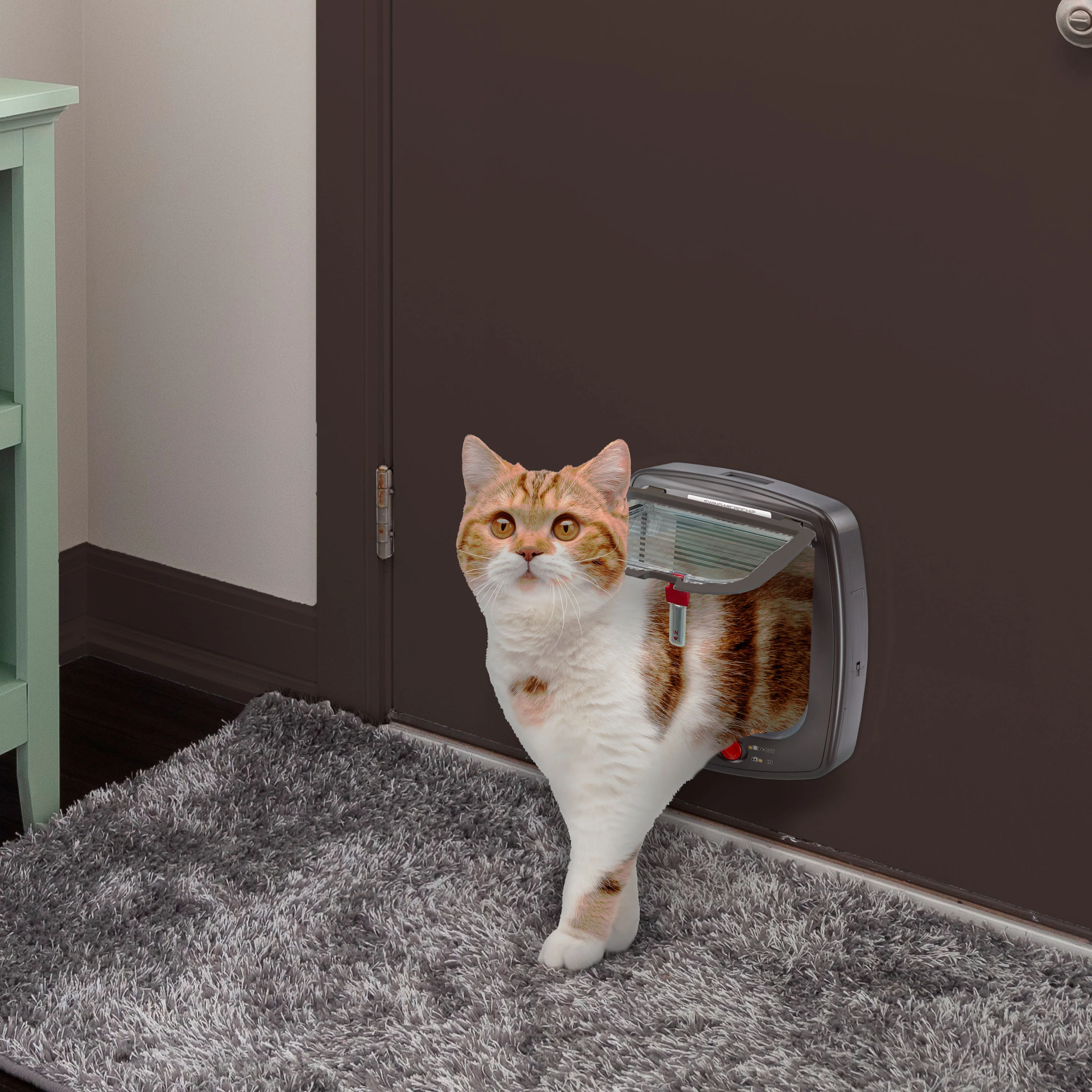 SWING MICROCHIP - Image 13