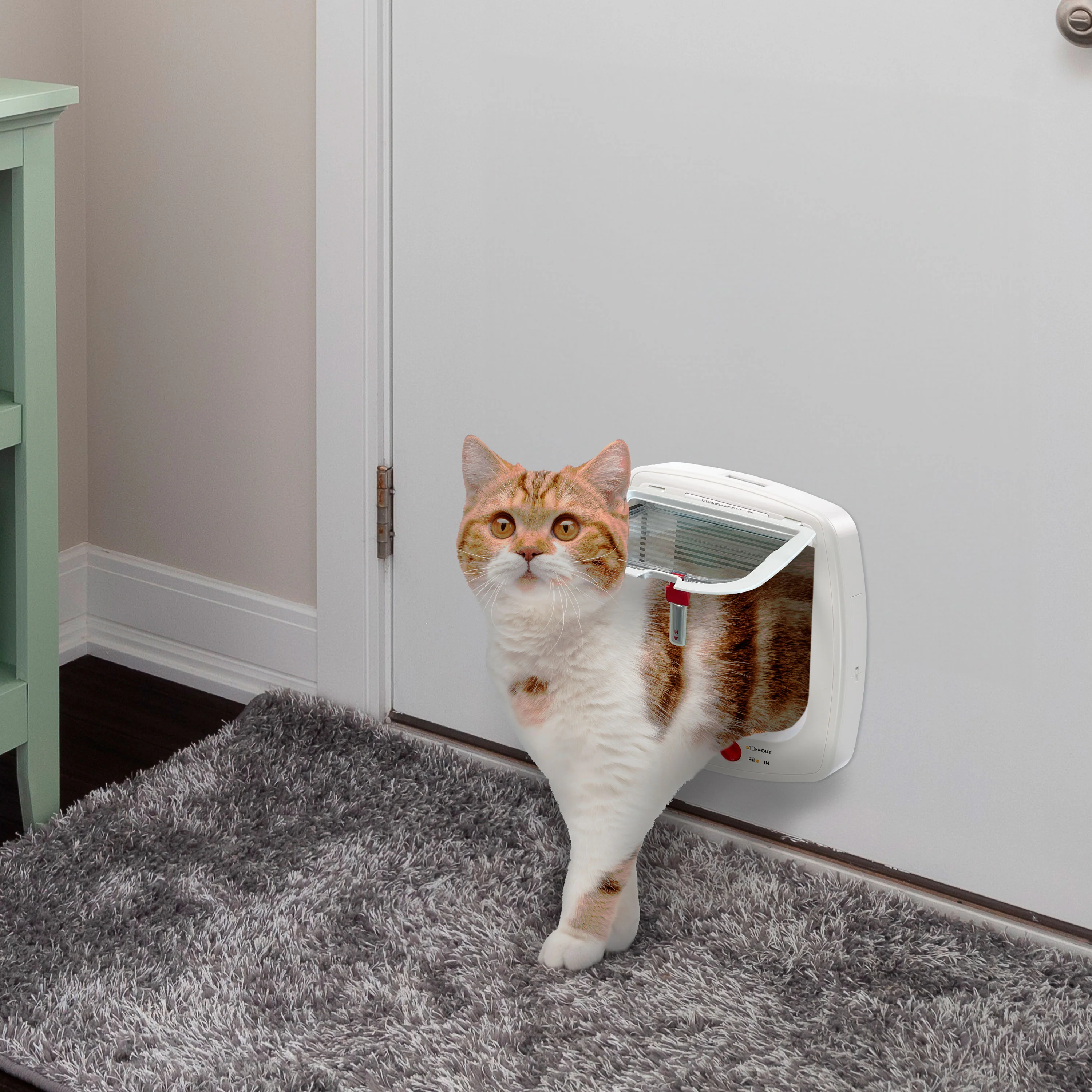 SWING MICROCHIP - Image 4