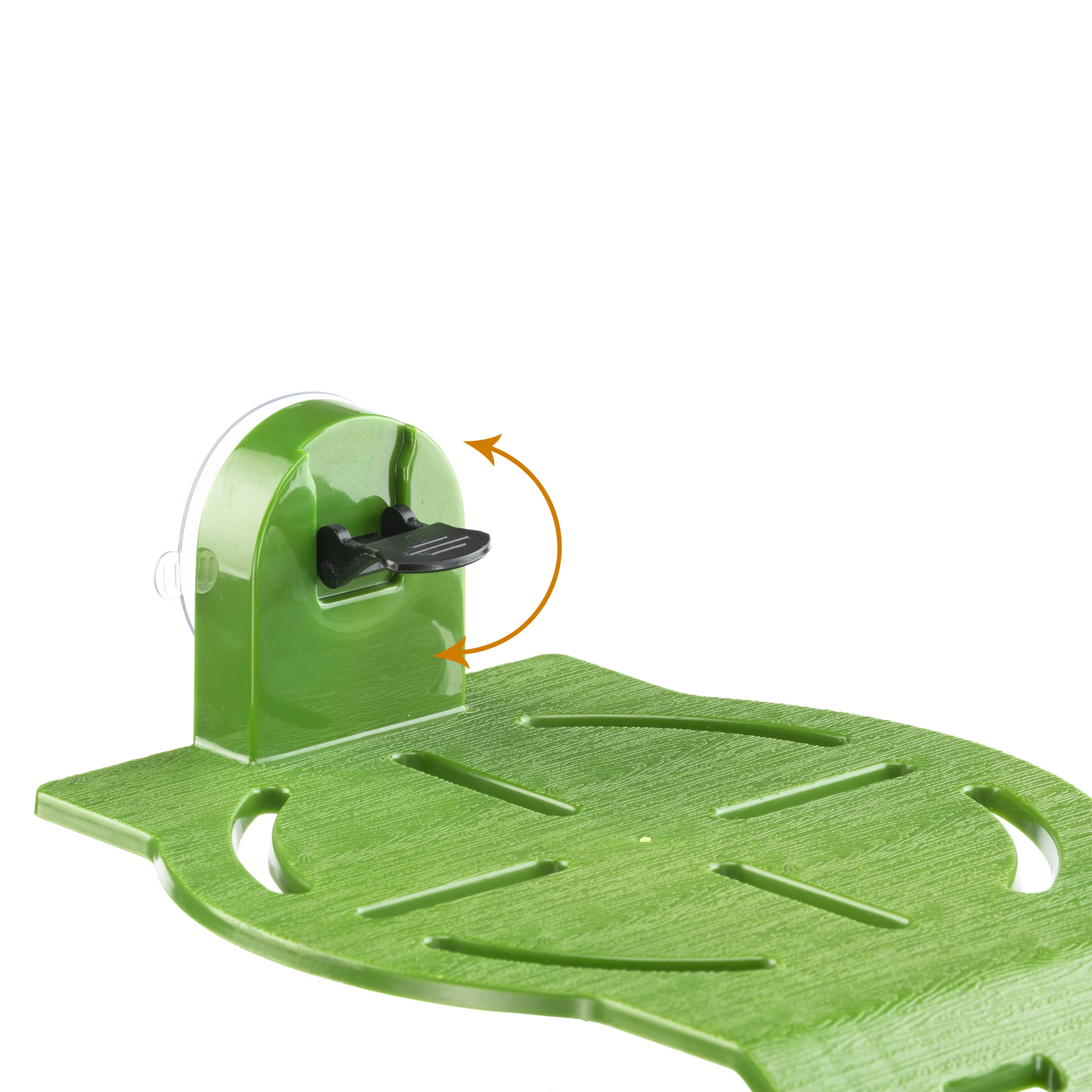 TURTLE RAMP - Image 4