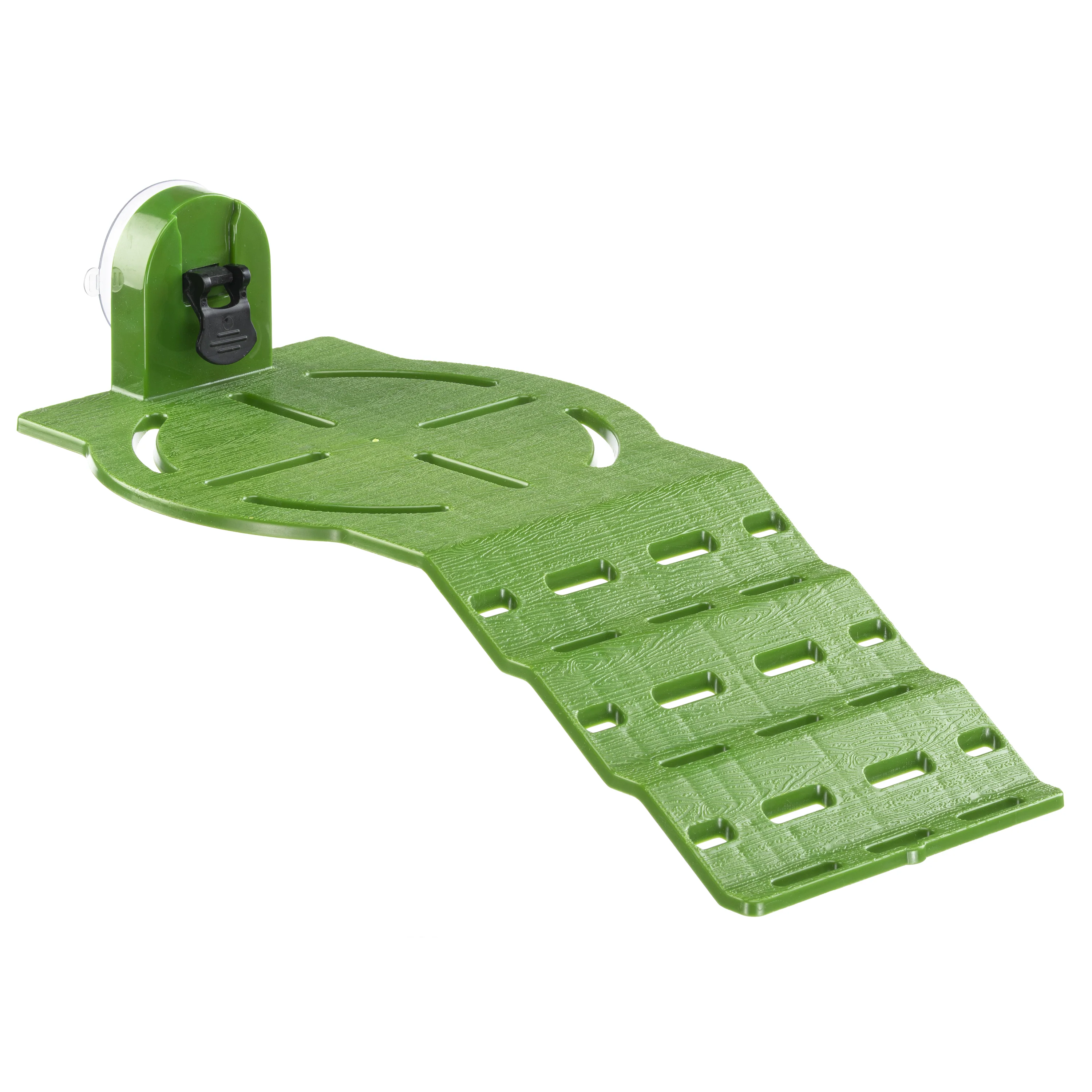 TURTLE RAMP - Image 5