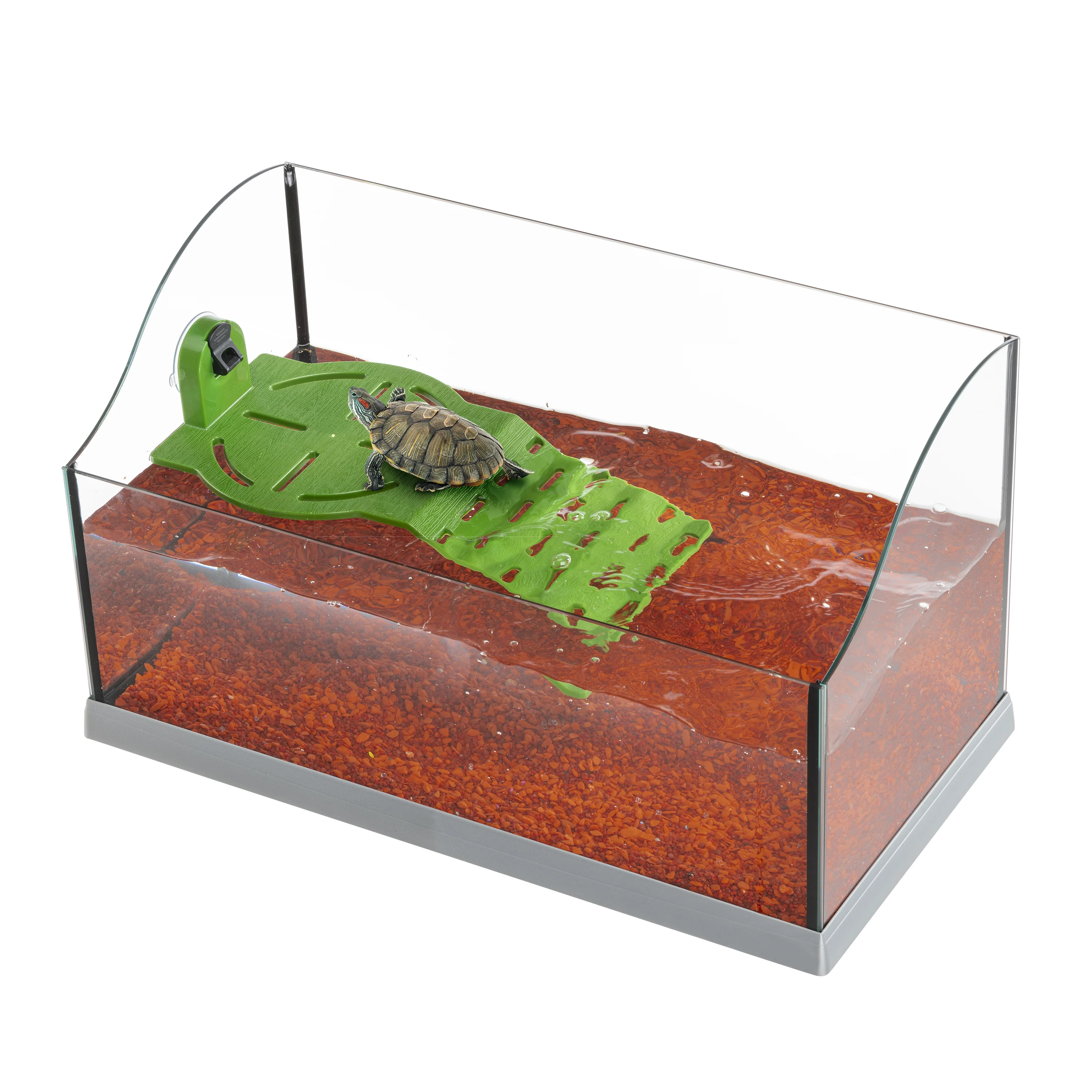 TURTLE RAMP - Image 6